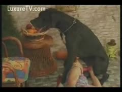 Classic brute sex clip featuring a cougar in pigtails and a massive dog